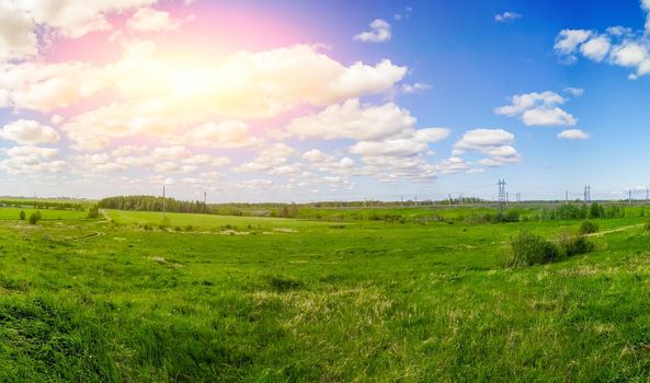 Panorama summer landscape in the field. Russian open spaces. Summer landscape. Flowers in the field. Blue sky. Copy spase.