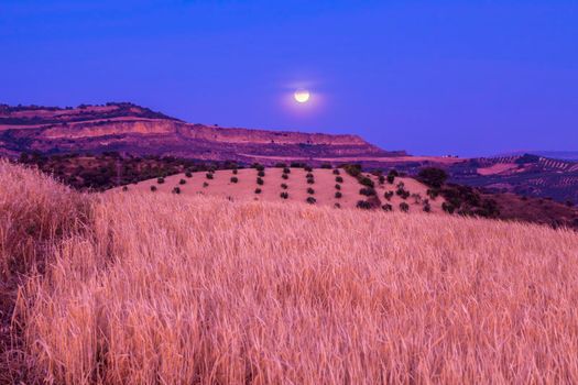 Andalusia panorama  at moonrise. Olvera, Andalusia, Spain. Olvera, Andalusia, Spain.