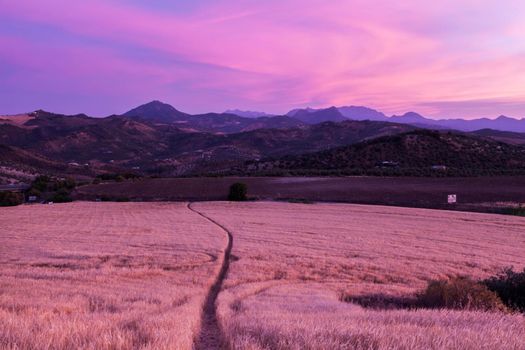 Andalusia panorama at sunset. Olvera, Andalusia, Spain. Olvera, Andalusia, Spain.