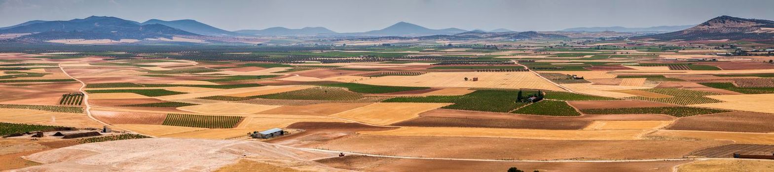 Fields around Consuegra. Consuegra, Castile-La Mancha, Spain.