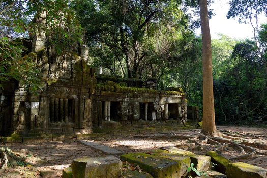 Temple in the Angkor complex, Cambodia.