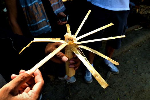 Cambodian special snack: rice cooked in the bamboo plant