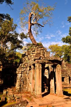 View of the beautiful famous temple of Ta Prhom, Angkor, Cambodia