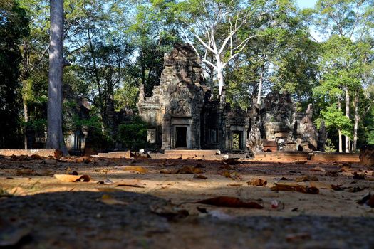 Temple in the Angkor complex, Cambodia.