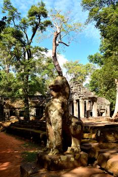 View of the beautiful famous temple of Ta Prhom, Angkor, Cambodia