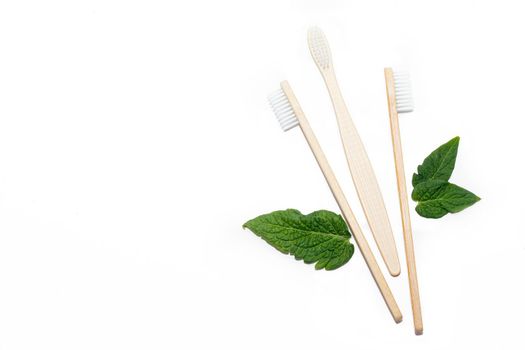 Bamboo toothbrush and green leaves on an isolated background. Tooth cleaning. Article about choosing a toothbrush. Article about dental care. Bath accessories. Collection on vacation. Natural material. Eco-products. No plastic surgery. Concern for the environment. Copy space.