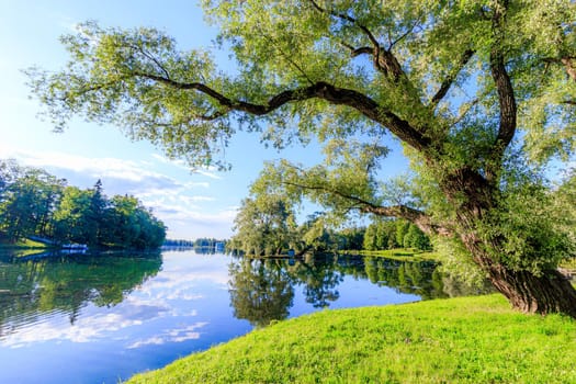 Summer evening in the Park with a lake. Summer landscape. nature of Russia. Well-maintained Park. Evening smoothness. The reflection in the water. Photo concept for printed products and puzzles