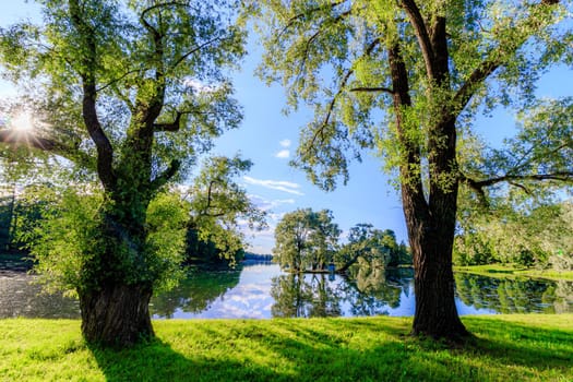 Summer evening in the Park with a lake. Summer landscape. nature of Russia. Well-maintained Park. Evening smoothness. The reflection in the water. Photo concept for printed products and puzzles