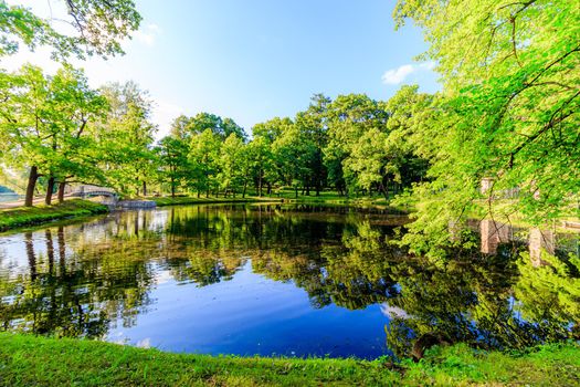 Summer evening in the Park with a lake. Summer landscape. nature of Russia. Well-maintained Park. Evening smoothness. The reflection in the water. Photo concept for printed products and puzzles