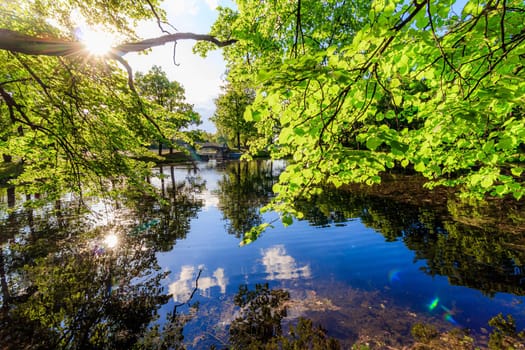 Summer evening in the Park with a lake. Summer landscape. nature of Russia. Well-maintained Park. Evening smoothness. The reflection in the water. Photo concept for printed products and puzzles
