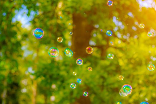 Background soap bubbles on the background of trees . Beautiful color background. Copy space. The concept of a children's holiday and a happy childhood. Bright background concept . Bubbles