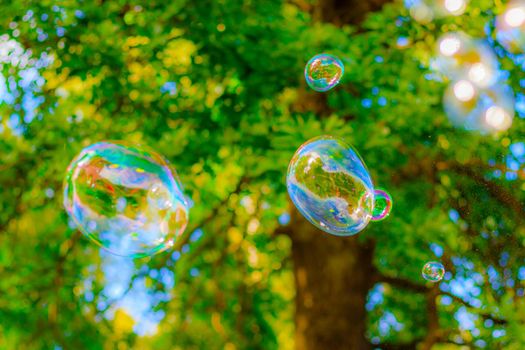 Background soap bubbles on the background of trees . Beautiful color background. Copy space. The concept of a children's holiday and a happy childhood. Bright background concept . Bubbles