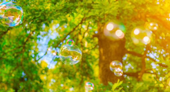 Background soap bubbles on the background of trees . Beautiful color background. Copy space. The concept of a children's holiday and a happy childhood. Bright background concept . Bubbles