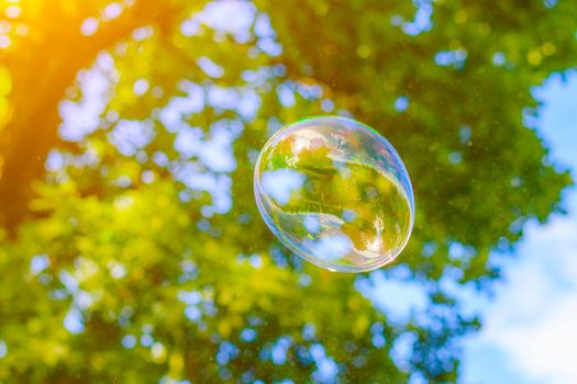 Background soap bubbles on the background of trees . Beautiful color background. Copy space. The concept of a children's holiday and a happy childhood. Bright background concept . Bubbles