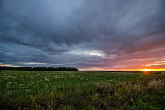 Sunset in the field during the rain . Summer landscape. A pink sunset. Evening light. Landscape. Nature. The sun is setting.