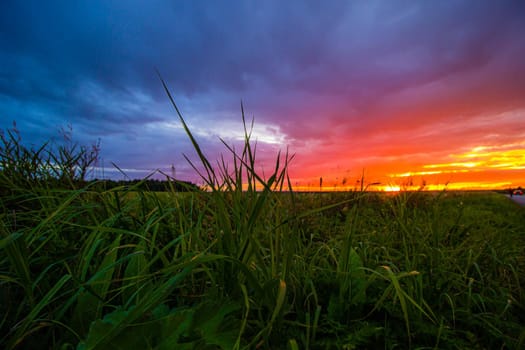 Sunset in the field during the rain . Summer landscape. A pink sunset. Evening light. Landscape. Nature. The sun is setting.