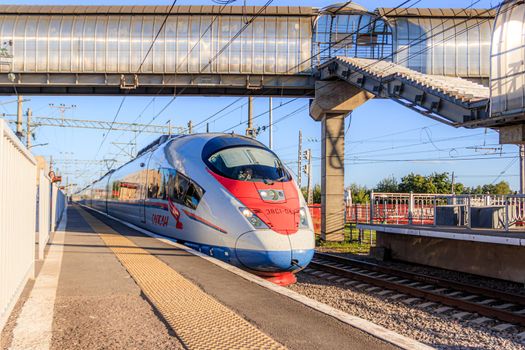 Peregrine Falcon stop . Speed train. The Route Moscow - Saint-Petersburg. the transportation of passengers. Transport. Russian railway. Train ticket. Travel around the country. Trip to the capital. Prices for railway tickets. Russia, Novgorod region, Chudovo, August 17, 2020