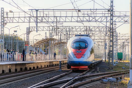 Peregrine Falcon stop . Speed train. The Route Moscow - Saint-Petersburg. the transportation of passengers. Transport. Russian railway. Train ticket. Travel around the country. Trip to the capital. Prices for railway tickets. Russia, Novgorod region, Chudovo, August 17, 2020