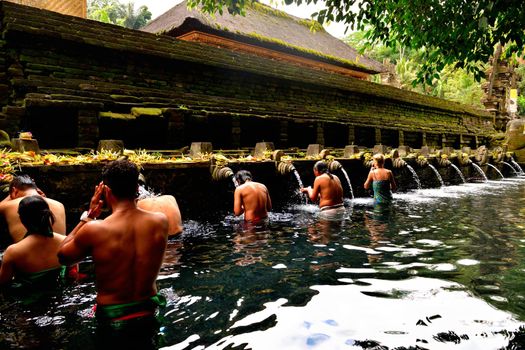 Closeup of the holy springs of Tirta Empul temple, Bali