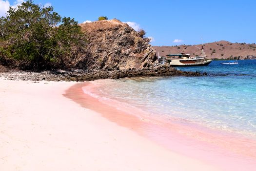 View of the pink beach in Komodo National Park, Indonesia