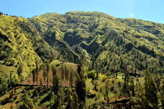 View of the indonesian mountain around the Ijen caldera, Indonesia