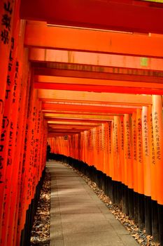Closeup of the famous torii in the Fushimi Inari shrine, Kyoto