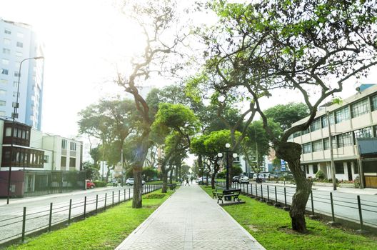 View of Pardo Avenue in the district of Miraflores, Lima, Peru.