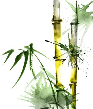 Watercolor illustration of bamboo with leaves and watersplashes on white background. Oriental traditional painting, sumi-e.