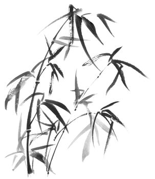 Watercolor illustration of bamboo with leaves on white background. Oriental traditional painting, sumi-e.