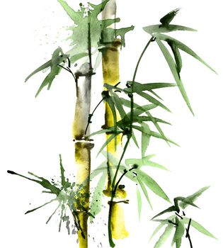 Watercolor illustration of bamboo with leaves and watersplashes on white background. Oriental traditional painting, sumi-e.