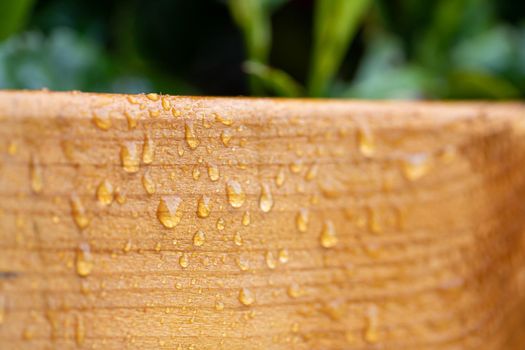 Close up of big water drops on lacquered wood after rain