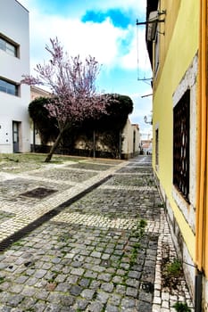 Colorful gardens and tiled facades with vintage streetlight in Lisbon streets in Spring.
