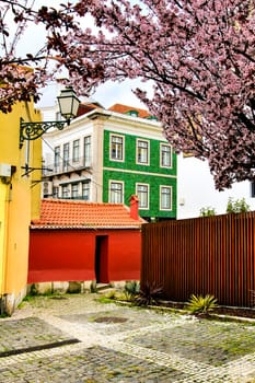 Colorful gardens and tiled facades with vintage streetlight in Lisbon streets in Spring.