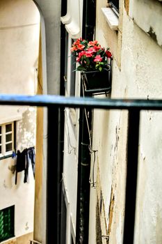 Old colorful and beautiful facades with vintage streetlight in Lisbon streets in Spring.