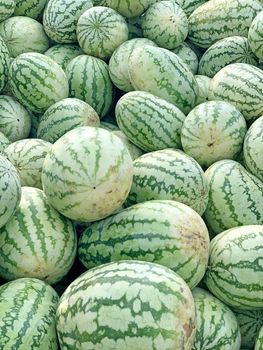 Full frame view of watermelons kept in market. Healthy food and highly cultivated fruit in the worldwide.