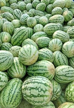 Full frame view of watermelons kept in market. Healthy food and highly cultivated fruit in the worldwide.