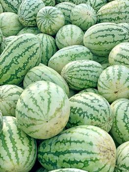 Full frame view of watermelons kept in market. Healthy food and highly cultivated fruit in the worldwide.