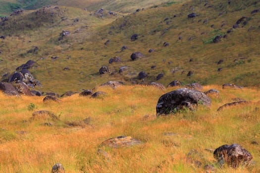 The meadow on the mountain in the evening there is sunshine.