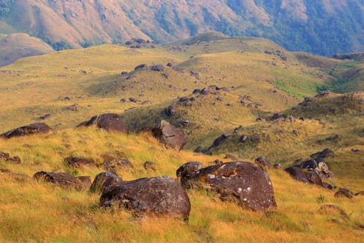 The mountain meadow has large round stones.