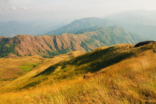 Hillside meadow In the evening