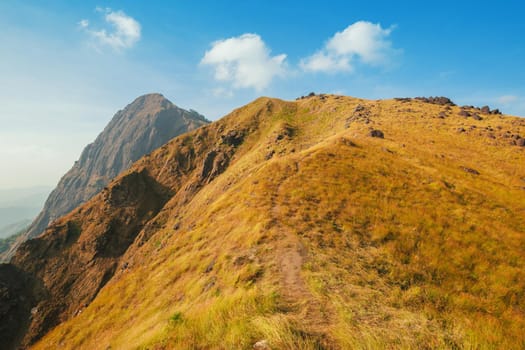 A hill full of grass During the time of strong sunlight