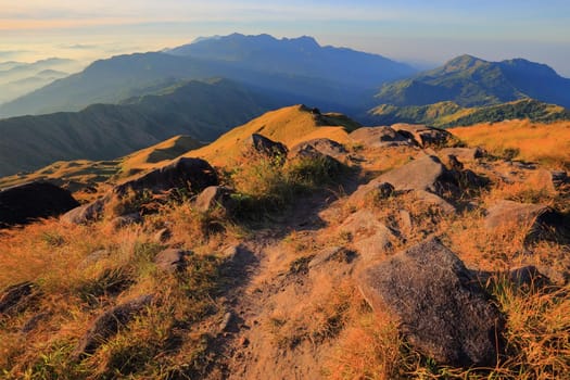 The grassland on the hills in the morning