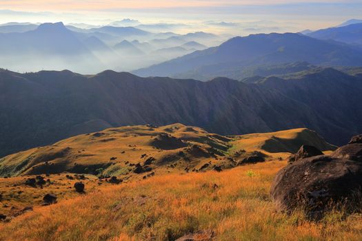 The grassland on the hills in the morning