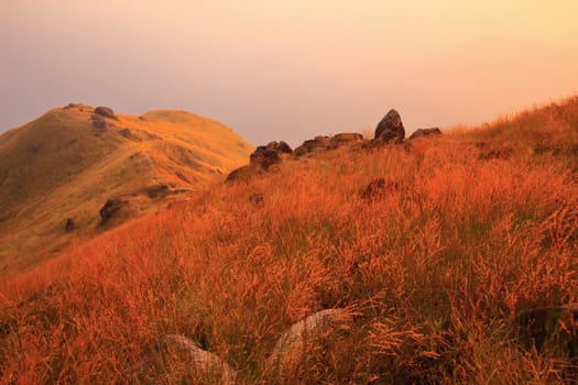 The mountain in the evening there is sunshine on the meadow.