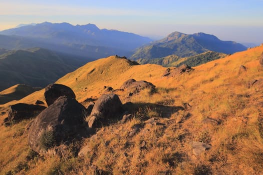 The grassland on the hills in the morning