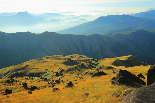 Morning meadow With mountains in the background
