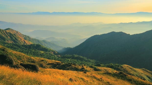 The grassland on the hills in the morning