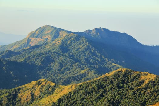 The green mountains in the morning are sunny.