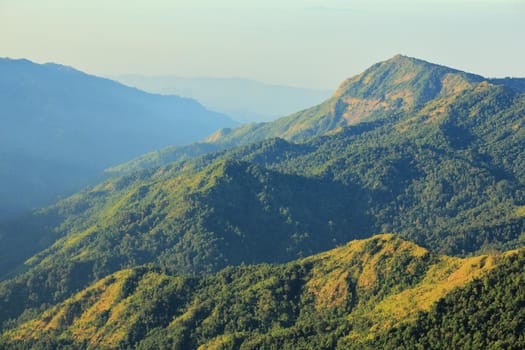 The green mountains in the morning are sunny.