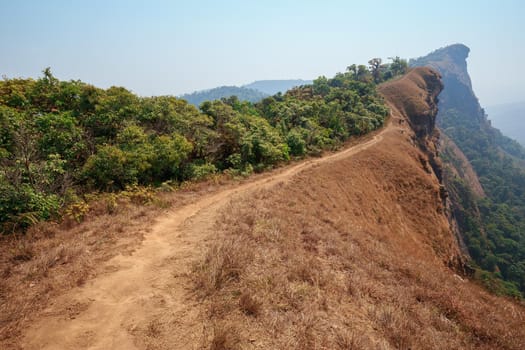 yellow field on top of the mountain at Monjong, Chiang Mai, Thailand